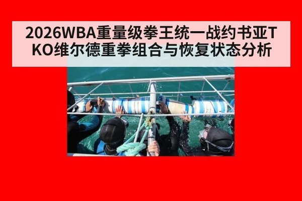 2026WBA重量级拳王统一战约书亚TKO维尔德重拳组合与恢复状态分析